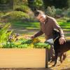imageWoodgrain Series Raised Garden Bed 2 x 8 Outdoor WoodenLook Metal Planter Box for Gardening Vegetables Flowers Herbs4 x 4
