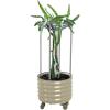 imageVego garden Dragon Fruit Planter Pot with Self Watering Wicking Cell and Trellis Pearl WhitePearl White