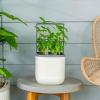 imageVego garden Mini Planter Indoor Pots with Trellis SelfWatering Herb Countertop Planter for Climbing Vegetables Flowers Mint Plants Cage Cream WhiteCream White