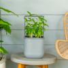 imageVego garden Mini Planter Indoor Pots with Trellis SelfWatering Herb Countertop Planter for Climbing Vegetables Flowers Mint Plants Cage Cream WhiteFog Gray