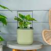 imageVego garden Mini Planter Indoor Pots with Trellis SelfWatering Herb Countertop Planter for Climbing Vegetables Flowers Mint Plants Cage Cream WhiteSage Green