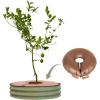 imageVego garden Raised Garden Bed 8 Tall Tree Surround with Watering Ring Olive GreenOlive Green