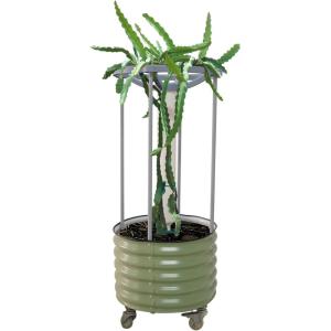 imageVego garden Dragon Fruit Planter Pot with Self Watering Wicking Cell and Trellis Pearl WhiteOlive Green