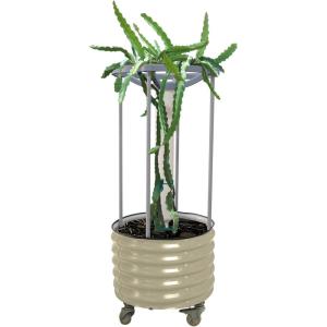 imageVego garden Dragon Fruit Planter Pot with Self Watering Wicking Cell and Trellis Pearl WhitePearl White