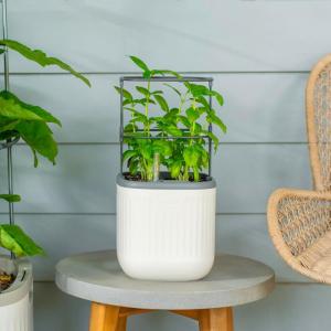 imageVego garden Mini Planter Indoor Pots with Trellis SelfWatering Herb Countertop Planter for Climbing Vegetables Flowers Mint Plants Cage Cream WhiteCream White