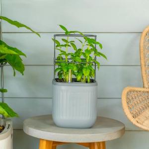 imageVego garden Mini Planter Indoor Pots with Trellis SelfWatering Herb Countertop Planter for Climbing Vegetables Flowers Mint Plants Cage Cream WhiteFog Gray