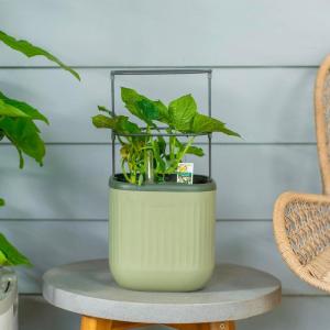 imageVego garden Mini Planter Indoor Pots with Trellis SelfWatering Herb Countertop Planter for Climbing Vegetables Flowers Mint Plants Cage Cream WhiteSage Green