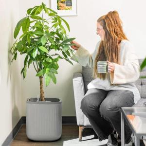 imageVego garden Planters for Outdoor ampamp Indoor Plants Large Plant Pots with Self Watering 15quot Tall Large Plant Pots with Trellis for Flowers Plants Decor Cream WhiteFog Gray