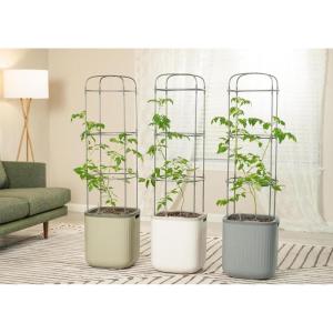 imageVego garden Tomato Planter Box with Trellis SelfWatering Rolling Raised Garden Bed for Climbing Vegetables Plants Cage 3 Pack