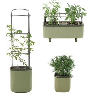 imageVego garden Tomato ampamp Herb ampamp Mini Planter Box Bundle