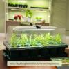 imageVego garden Giga Seedling Trays  8 Pack 9Cell UVResistant Reusable Starter Trays for GreenhouseGarden No Lids2 Packs