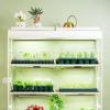 imageVego garden Giga Seedling Trays  8 Pack 9Cell UVResistant Reusable Starter Trays for GreenhouseGarden No Lids2 Packs