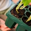 imageVego garden Giga Seedling Trays  8 Pack 9Cell UVResistant Reusable Starter Trays for GreenhouseGarden No Lids4 Packs