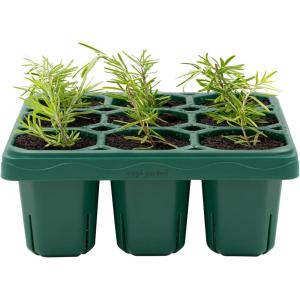 imageVego garden Giga Seedling Trays  8 Pack 9Cell UVResistant Reusable Starter Trays for GreenhouseGarden No Lids2 Packs