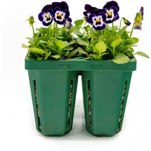 imageVego garden Giga Seedling Trays  8 Pack 9Cell UVResistant Reusable Starter Trays for GreenhouseGarden No Lids8 Packs