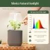 imageVego garden Mini Grow Lights Stand for Indoor Plants FullSpectrum White Light LED Grow Light with Customized Adjustable Height for Microgreens Planter not Include
