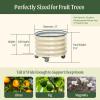 imageRolling Metal Citrus Tree Planter Pot 21 Round Planter Box for Porch Patio ampamp Backyard 20 Gallon Large Planter Pot with Wheels for Growing Trees Tomatoes Vegetables and Flowers Olive GreenPearl White
