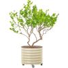 imageRolling Metal Citrus Tree Planter Pot 21 Round Planter Box for Porch Patio ampamp Backyard 20 Gallon Large Planter Pot with Wheels for Growing Trees Tomatoes Vegetables and Flowers Olive GreenPearl White