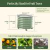 imageRolling Metal Citrus Tree Planter Pot 21 Round Planter Box for Porch Patio ampamp Backyard 20 Gallon Large Planter Pot with Wheels for Growing Trees Tomatoes Vegetables and Flowers Olive GreenModern Gray