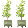 imageRolling Metal Citrus Tree Planter Pot 21 Round Planter Box for Porch Patio ampamp Backyard 20 Gallon Large Planter Pot with Wheels for Growing Trees Tomatoes Vegetables and Flowers Olive GreenOlive Green