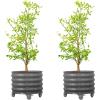 imageRolling Metal Citrus Tree Planter Pot 21 Round Planter Box for Porch Patio ampamp Backyard 20 Gallon Large Planter Pot with Wheels for Growing Trees Tomatoes Vegetables and Flowers Olive GreenModern Gray