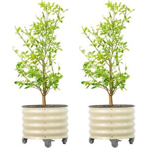 imageRolling Metal Citrus Tree Planter Pot 21 Round Planter Box for Porch Patio ampamp Backyard 20 Gallon Large Planter Pot with Wheels for Growing Trees Tomatoes Vegetables and Flowers Olive GreenPearl White