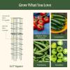 image:imageVego Garden 2 Pack Tomato Cage 145 Square for Garden amp Pots RustResistant Tomato Stackable Plant Cage Trellis Support for Climbing Vegetables Plants