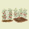 image:imageVego Garden 2 Pack Tomato Cage 145 Square for Garden amp Pots RustResistant Tomato Stackable Plant Cage Trellis Support for Climbing Vegetables Plants