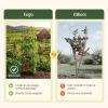image:imageVego Garden 2 Pack Tomato Cage 145 Square for Garden amp Pots RustResistant Tomato Stackable Plant Cage Trellis Support for Climbing Vegetables Plants