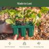 image:imageVego garden Ultimate Seed Starting Bundle 2Packs Giga8 Pack Jumbo8 Pack Standard Seedling Trays with Seedling Tray Lids and 10 x 20 Bottom Watering TraysStandard 1020 Germination Cell Bundle