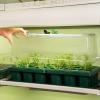image:imageVego garden Ultimate Seed Starting Bundle 2Packs Giga8 Pack Jumbo8 Pack Standard Seedling Trays with Seedling Tray Lids and 10 x 20 Bottom Watering TraysJumbo 1020 Up Pot Cell Bundle