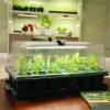 image:imageVego garden Ultimate Seed Starting Bundle 2Packs Giga8 Pack Jumbo8 Pack Standard Seedling Trays with Seedling Tray Lids and 10 x 20 Bottom Watering TraysStandard 1020 Germination Cell Bundle