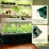 image:imageVego garden Ultimate Seed Starting Bundle 2Packs Giga8 Pack Jumbo8 Pack Standard Seedling Trays with Seedling Tray Lids and 10 x 20 Bottom Watering TraysJumboGiga 1020 Up Pot Bundle