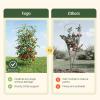 image:imageVego Garden Tomato Cage 165 Square HeavyDuty for Garden amp Pots RustResistant Tomato Stackable Plant Cage Trellis Support for Climbing Vegetables Plants3 Pack