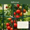 image:imageVego 3Panel Tomato Cage for Garden amp Pots RustResistant Tomato Stakes Plant Cage Trellis Support for Climbing Vegetables Plants  145 Triangle 3 Pack145 inch