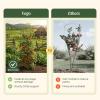 image:imageVego 3Panel Tomato Cage for Garden amp Pots RustResistant Tomato Stakes Plant Cage Trellis Support for Climbing Vegetables Plants  145 Triangle 3 Pack115 inch