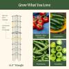 image:imageVego 3Panel Tomato Cage for Garden amp Pots RustResistant Tomato Stakes Plant Cage Trellis Support for Climbing Vegetables Plants  145 Triangle 3 Pack145 inch