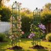 image:imageVego Garden 76 ft Round Obelisk Garden Trellis Metal Rustproof Plant Support Rose Trellis Tower Potted Cages for Flowers Fruits Vegetable Vines Indoor amp Outdoor76 Ft