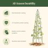 image:imageVego Garden 9 ft Pyramid Obelisk Garden Trellis Metal Rustproof Plant Support Rose Trellis Tower Potted Cages for Flowers Fruits Vegetable Vines Indoor amp Outdoor78 Ft