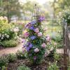 image:imageVego Garden 9 ft Pyramid Obelisk Garden Trellis Metal Rustproof Plant Support Rose Trellis Tower Potted Cages for Flowers Fruits Vegetable Vines Indoor amp Outdoor65 Ft