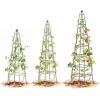 image:imageVego Garden 9 ft Pyramid Obelisk Garden Trellis Metal Rustproof Plant Support Rose Trellis Tower Potted Cages for Flowers Fruits Vegetable Vines Indoor amp Outdoor65 Ft