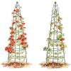 image:imageVego Garden 9 ft Pyramid Obelisk Garden Trellis Metal Rustproof Plant Support Rose Trellis Tower Potted Cages for Flowers Fruits Vegetable Vines Indoor amp Outdoor9 Ft
