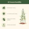 image:imageVego Garden 9 ft Pyramid Obelisk Garden Trellis Metal Rustproof Plant Support Rose Trellis Tower Potted Cages for Flowers Fruits Vegetable Vines Indoor amp Outdoor65 Ft