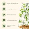 image:imageVego Garden AFrame Trellis Cucumber Cage for Garden amp Pots RustResistant Tomato Stakes Heavy Gauge Plant Cage Trellis Support for Climbing Vegetables Plants63 Tall