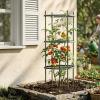 image:imageVego Garden Tomato Cage Tomato Tower 3 Tier for Garden amp Pots RustResistant Tomato Stakes Heavy Gauge Plant Cage Trellis Support for Climbing Vegetables Plants3 Tier