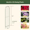 image:imageVego garden Metal 23 x 78 Garden Mounted Wall Trellis 2 Pack for Climbing Plants Flowers Vegetables Planting Arched Outdoor Decoration for Courtyards Lawns Gardens1 Pack