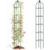 image:imageVego Garden 76 ft Round Obelisk Garden Trellis Metal Rustproof Plant Support Rose Trellis Tower Potted Cages for Flowers Fruits Vegetable Vines Indoor amp Outdoor76 Ft